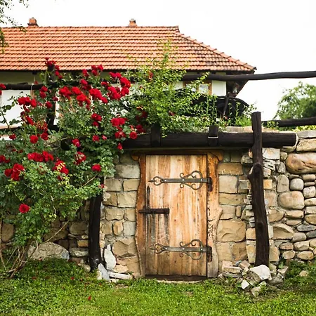 Vakantiehuis гардига Pystan