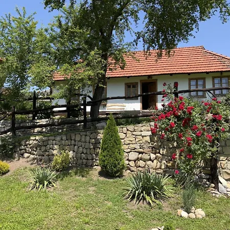 гардига * Pystan