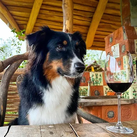 гардига 別荘 *