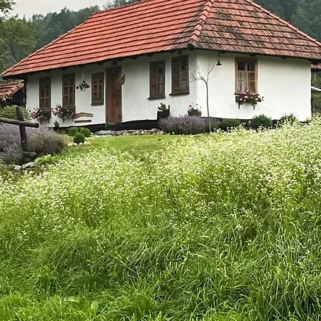 Vakantiehuis гардига *